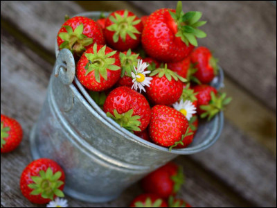 À quelle saison mûrissent les fraises ?