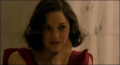 Qui l'a dirigé pour "Public Enemies" ?