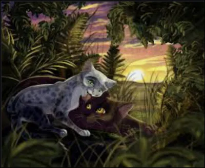 Quel chat a eu sa nièce pour compagne ?