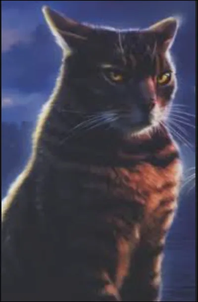 Qui est la petite-nièce dÉtoile de Ronce ?