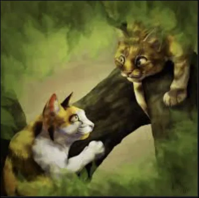 Qui est le compagnon de la grand-mère de Pelage de Houx, Patte de Châtaigne et Poil de Bruyère ?