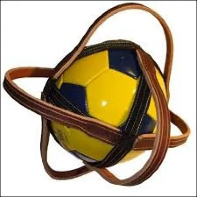 Ce ballon un peu particulier muni de 6 anses est réservé pour...