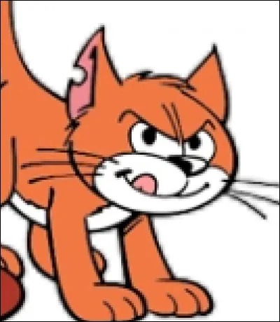 Comment s'appelle le chat du sorcier ?