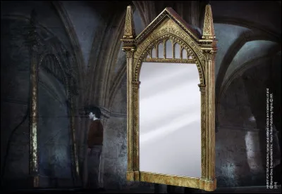 Devant le miroir du risèd, Harry se voit directeur de Poudlard.