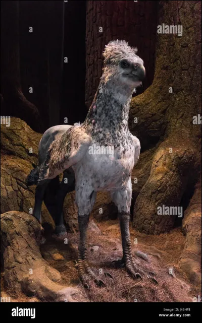 Comment s'appelle l'hippogriffe de Hagrid ?