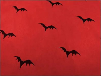 Que ne doit-on surtout pas faire avec un mogwai, sous peine de le voir se transformer en gremlin ?