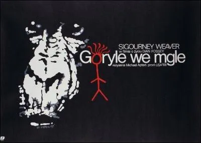 Cette affiche est celle du film :