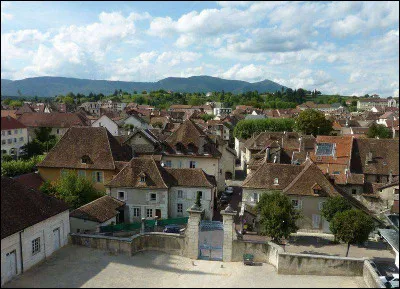 Belley et Gex sont des villes du département :