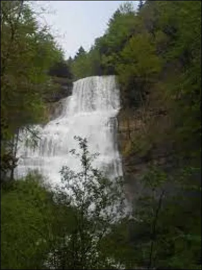 Vous pourrez voir dans le département les cascades du Hérisson :