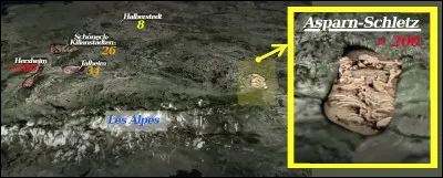 Le site d'Asparn-Schletz (en Basse-Autriche) montre lui aussi un charnier de plusieurs centaines de personnes d'âge indifférent, tous morts au même moment. Quelle est l'explication retenue ?