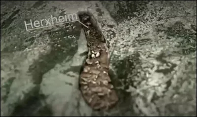 C'est le cas du site d'Herxheim (occupé entre - 5 300 et - 4 950, en Rhénanie), qui s'accompagne d'un grand nombre d'ossements brisés. Pourquoi ?