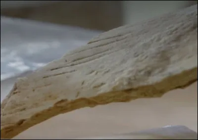 De plus près encore, les chercheurs découvrent que ces os portent un nombre de stries importantes, caractéristiques [...de quoi ?...]