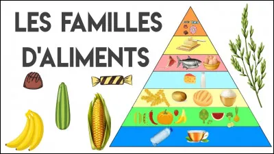 Quel est le seul aliment naturel qui ne se dégrade pas, sauf peut-être légèrement et avec une extrême lenteur ?