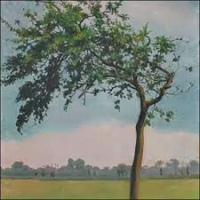 Qui a peint "Le pommier, Varengeville" ?