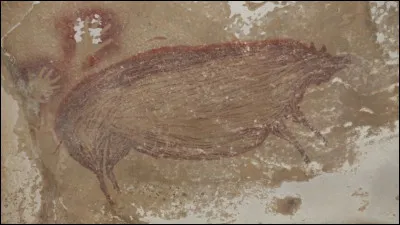 Elle représente un cochon.