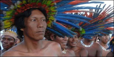 Les Amérindiens Bororo vivent dans la région :