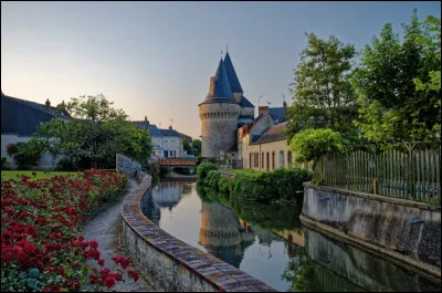 La Ferté-Bernard et Mamers sont des villes du département :