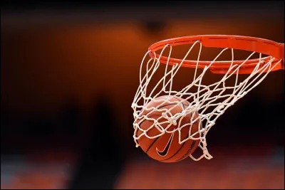 Quel État américain possède une équipe de basket jouant dans la NBA, qui s'appelle les Grizzlies ? Et pourtant elle n'a aucun grizzli sur son territoire.