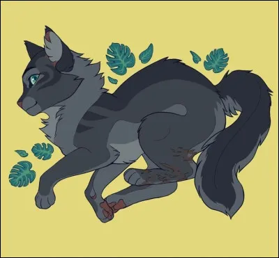 Qu'arrive-t-il &agrave; Nuage Cendr&eacute; ?