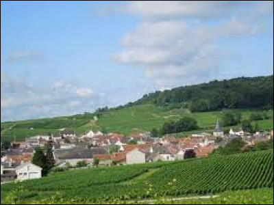 Commune du Grand-Est, dans le parc naturel régional de la Montagne de Reims, Trépail se situe dans le département ...
