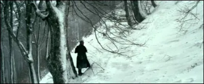 Quel est le titre exact de ce roman de Jean Giono : "Un roi sans..." ?