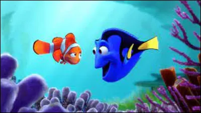 Quelle est la race de Dory dans "Le Monde de Nemo" ?