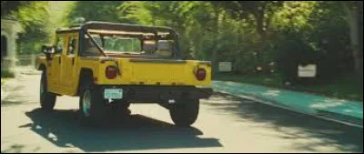 Qui joue le rôle principal dans le film "Hollywoo" ?