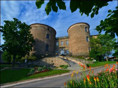 Monistrol sur Loire est la deuxième ville du département, avec 8 800 habitants :