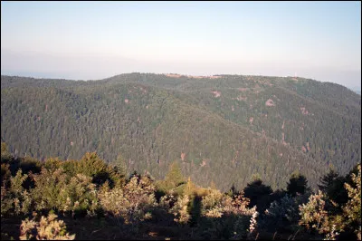 Le point culminant du département est le ballon de Servance à 1215 mètres d'altitude :