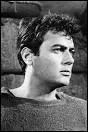 Tony Curtis
