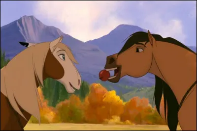 Quelle est la robe de Rivière ?