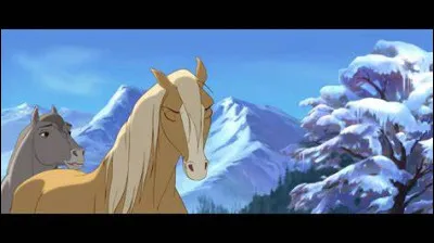 Comment s'appelle la mère de Spirit ?