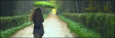 Comment appelle-t-on cet objet ?