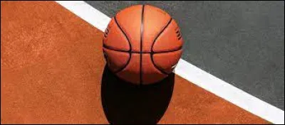 Dans quel sport utilise-t-on ce ballon ?