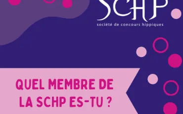 Quiz Test de personnalit�