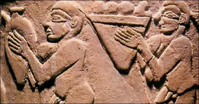 Quand a eu lieu la naissance de l'agriculture en Msopotamie ?