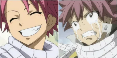 Comment décririez-vous Natsu ?