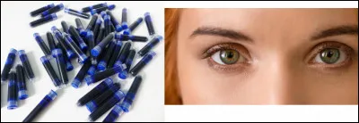 À partir de ces images, on en déduit que la chanson de Francis Cabrel que vous devez retrouver est...