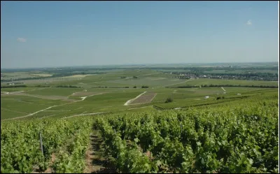 Il compte 566 000 habitants pour une densité de 69 habitants / km² :