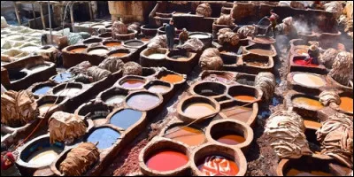 Dans quelle ville marocaine peut-on voir le quartiers des tanneurs de Chouara ?