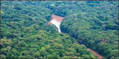 Quelle forêt trouve-t-on dans la République démocratique du Congo ?