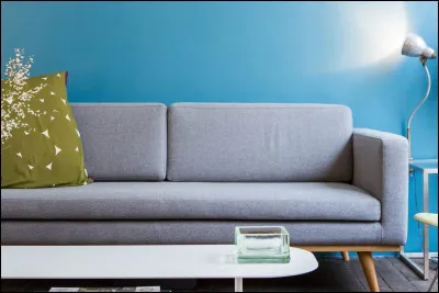 De quelle couleur est le canapé ?