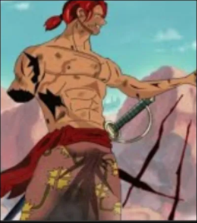 Comment Shanks a-t-il perdu son bras ?