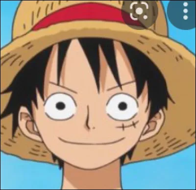 Pourquoi Luffy a-t-il une cicatrice ?