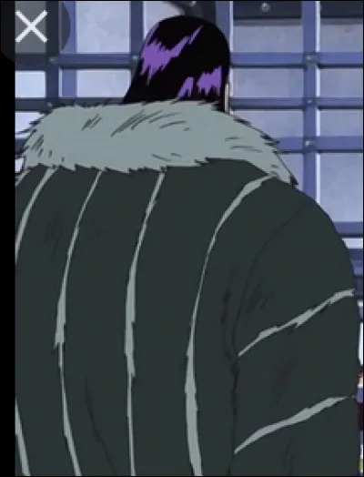 Comment s'appelle l'organisation dont on ne connaît pas le nom du "directeur", que l'on nomme Mr 0. ?