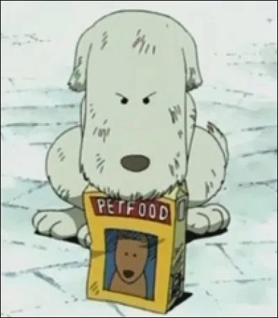 Comment se nomme le chien qui protège le magasin de croquettes ?