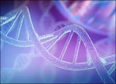 Lequel de ces personnages est reconnu comme le père fondateur de la génétique ?