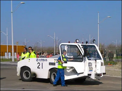 Feuille qui tombe souvent sur le trottoir, c'est le...