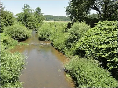 Poisson d'argent, c'est l'...