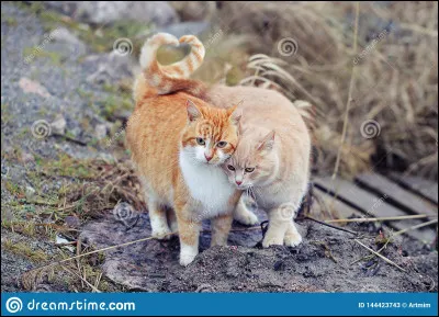 Qui sont ses parents ?